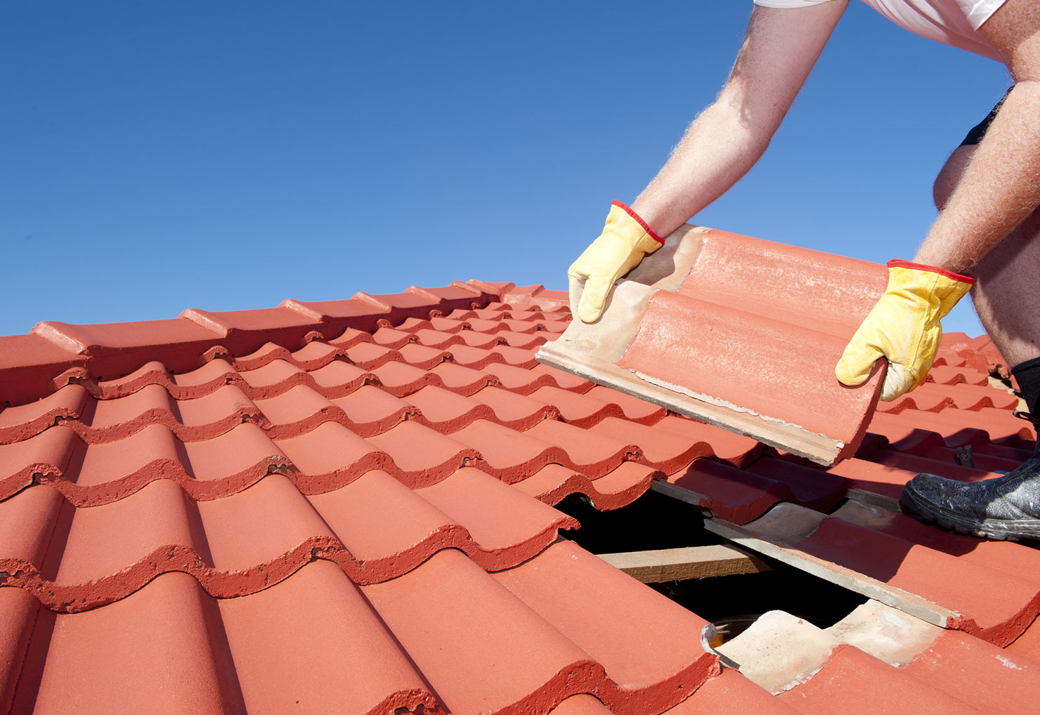 roofing and building services